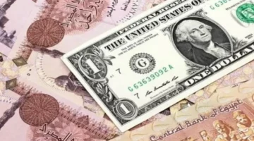 تحرك جديد بالبنوك.. سعر الدولار أمام الجنيه المصري خلال تعاملات السبت اليومية